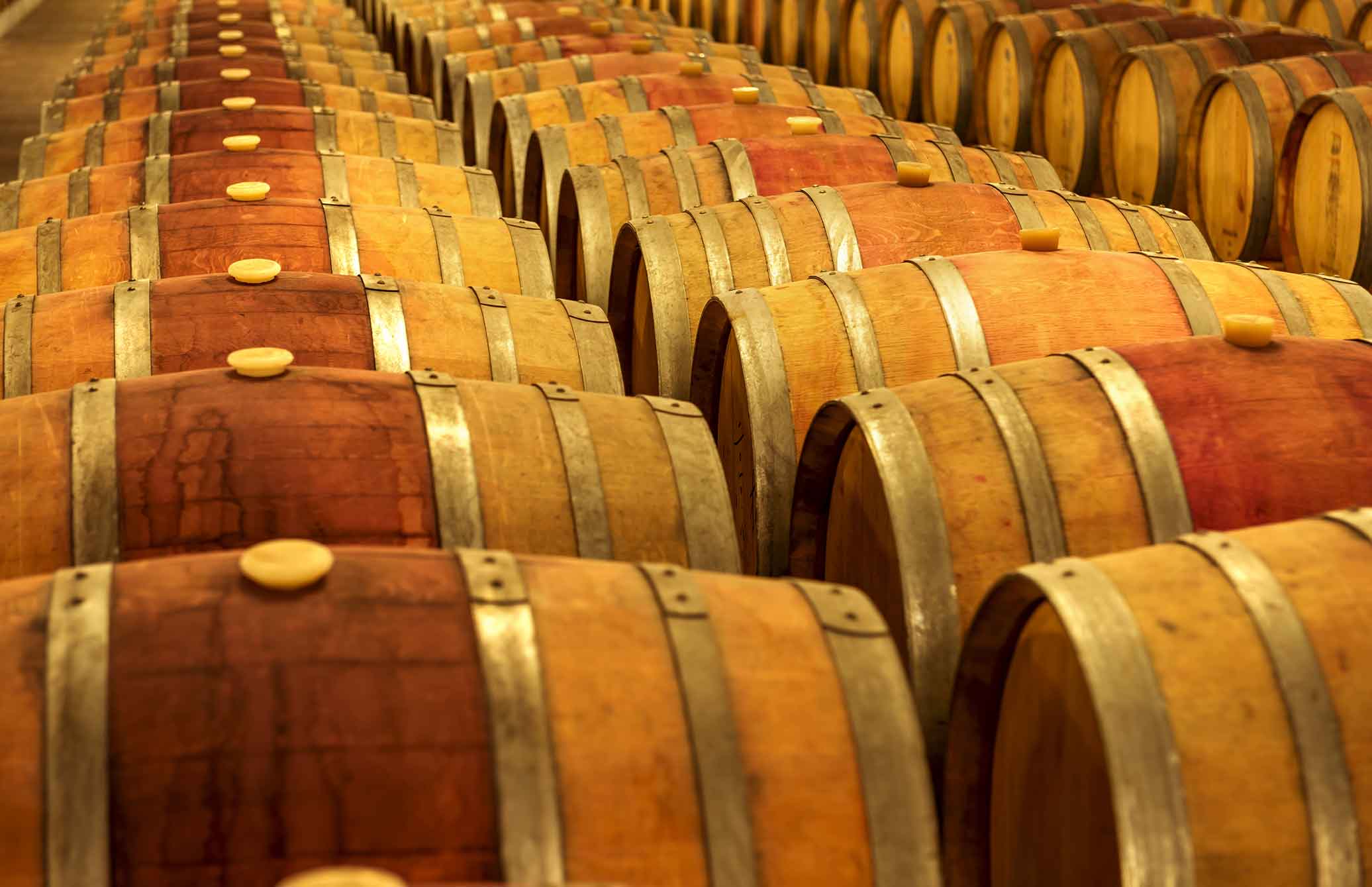 Instrucciones para Hacer Vino